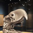 Terror-bird-cover.jpg Terror bird- birds terror skull in 3D