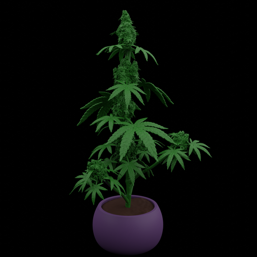 Marijuana 3D model