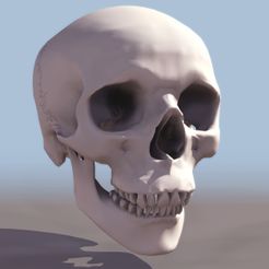 SKULL_01.jpg STL-Datei Schädel・3D-druckbares Modell zum herunterladen