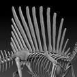 Spinosaurus9.jpg Spinosaurus SKELETON - FULL 3D Spinosaurus DINOSAUR BONES