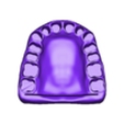 gum upper - Lammesky.stl Dental Teeth training Model