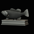 Peacock-Bass-statue-box-1-2-24.png fish Peacock bass (Cichla ocellaris) fish in motion base box for 3D printing