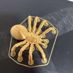 Articulated Tarantula