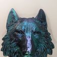 1000003365.jpg Wolf Head Wall Decoration, Witcher, wolf, dog