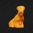 3400-Cesky_Terrier_Pose_06.jpg Cesky Terrier Dog 3D Print Model Pose 06