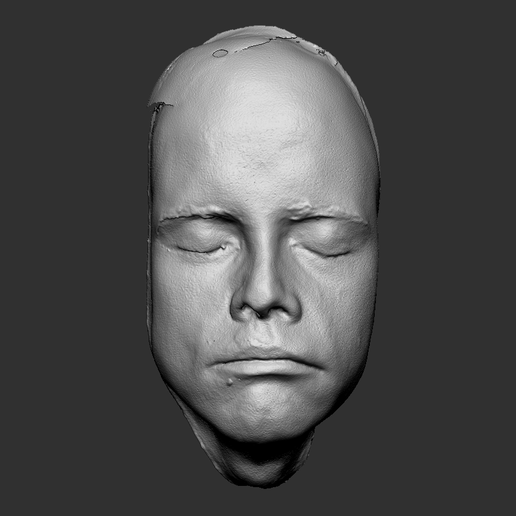 Mark Hamill Luke Skywalker Lifecast 3D Head Likeness (Star Wars) 3D model