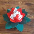 20190706_103820.jpg Flower Puzzle