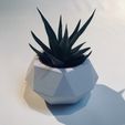 IMG_1990.jpg STL-Datei TRIO'PICAL・Design zum Herunterladen und 3D-Drucken