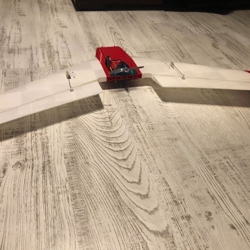 100082199_1115772082134739_4753366106075299840_n.jpg Zagi SC (Asa Voadora)