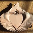 51319390_894093320942956_5174643582530748416_n.jpg pigeon beauty love birds heart panno for valentine's day