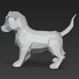 lqT@-shsh@-2026-04-06-224718.png Little dog