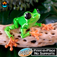 11.png Cinder Frog, Articulating Frog, Tree Frog, Dart Frog, Cinderwing3D, Articulating Flexible Fidget Cute Print in Place No Supports