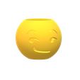 smirk.png Emoji Vases - 8 models