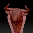 toro2.jpg Cabeça de touro