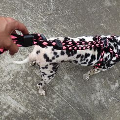 P1090659.jpg STL file Thick dog collar・3D printable model to download