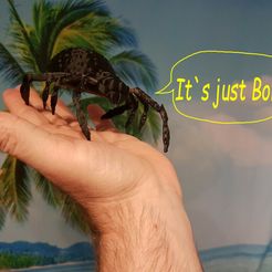 borris_2.jpg Fichier 3D gratuit Araignée ( BORIS L'HORRIBLE )・Objet pour imprimante 3D à télécharger