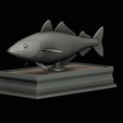 coalfish-statue-box-1-29.png fish coalfish / Pollachius virens with storage space / for 3d printing