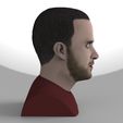 jesse-pinkman-breaking-bad-bust-ready-for-full-color-3d-printing-3d-model-obj-stl-wrl-wrz-mtl (8).jpg Jesse Pinkman Breaking Bad bust ready for full color 3D printing