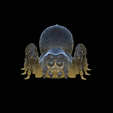 flexi-spider.png flexi spider / portia / print in place / 3Dprint