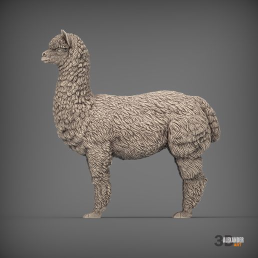 alpaca2.jpg alpaga