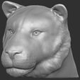 13.jpg Tiger head for 3D printing