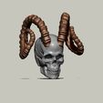 horny1.jpg Skull with Ibex goat horns