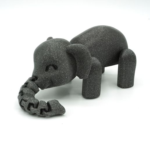 DSC01112 copia.jpg Flexiphant