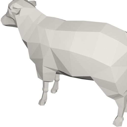 10007.jpg sheep animal