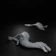 720X720-kelenken_5.png Dead Kelenken Terror Bird - Scatter Terrain / Objective Marker