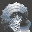 074_Muschel1a.jpg Sea Shell - 3D Scan