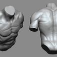 06.jpg Torso reference