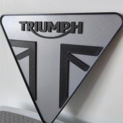 processed-1.jpeg Triumph logo