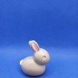 1615917742542.jpg Small rabbit - Petit Lapin
