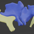 sinus,-nasal,-frontal,-ethmoid,-sphenoid,-orbital,-oral,-dental,-nose,-maxillary,-nerve,-head,-skull.png 通过真实 CT 扫描获得的鼻腔鼻窦高分辨率 3D 解剖图：上颌窦、乙状窦（包括眶上乙状窦）、额窦、鼻腔和三个鼻小柱