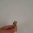 borrar1.jpg mate accessory / gaucho capybara