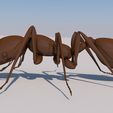 formiga2.jpg A simple and perfect ant