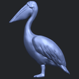 02_TDA0596_PelicanB01.png Pelican