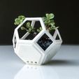 plantygon3.jpg Plantygon - Modular Geometric Stacking Planter for Succulents