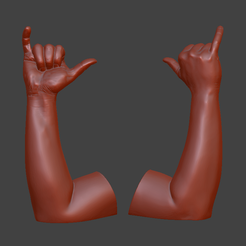 Shaka_A.png signo de la mano shaka
