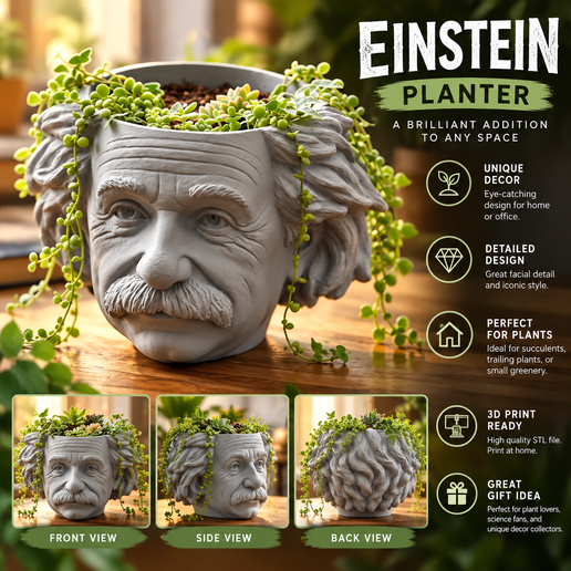Planters - Albert Einstein Head Planter