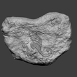s1.png Seahorse Mineral Fossile - Realistic Printable Resin