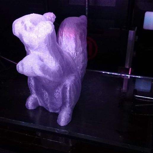 Archivo STL gratis Squirrel Scan・Diseño de impresora 3D para descargar ...