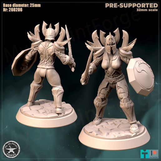 Female Paladin Tier1 Tank