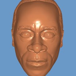 Screenshot_20230607_121826_Fast-STL-Viewer.jpg STL-Datei Don Cheadle James Rhodes Warmachine・3D-Druckvorlage zum Herunterladen
