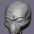 AFL.jpg Gray Alien Head Bust