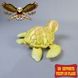 7.jpg Flexi Turtle | Print in place | no support