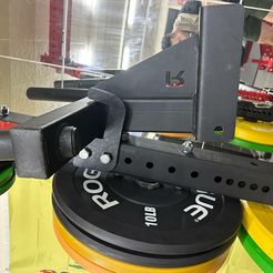 icm_fullxfull.576559776_6rzc76g916cc8444844s.jpg Archivo OBJ Rogue Matador dipstation mount home gym・Modelo para descargar y imprimir en 3D
