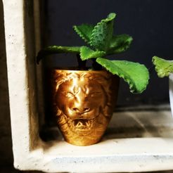 IMG20230823172203.jpg STL file Lion Pendant and Badge Plant Pot・3D printer design to download