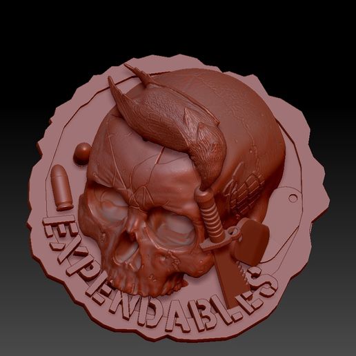 Skull-on-Expendables-v2-04.jpg Skull on Expendables