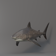 u0008.png Shark photorealistic- rigged stl included